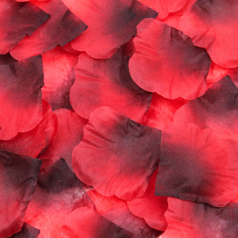 Pack de 100 Pétales de Rose – Dreamy Fetish – vue 3