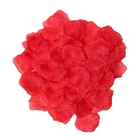 Pack de 100 Pétales de Rose – Dreamy Fetish – vue 1