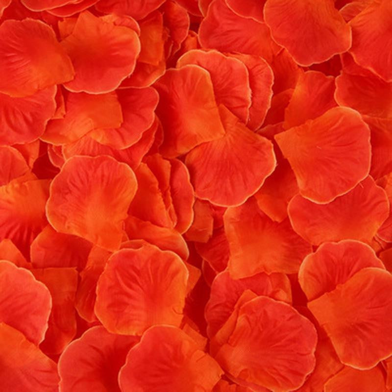 Pack de 100 Pétales de Rose – Dreamy Fetish – vue 2