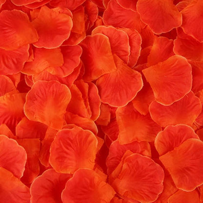 Pack de 100 Pétales de Rose – Dreamy Fetish – vue 2